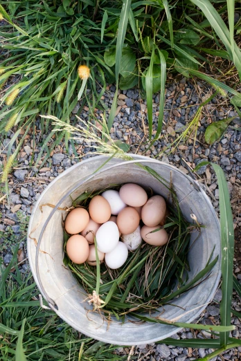 an image of eggs in an old basket on the ground