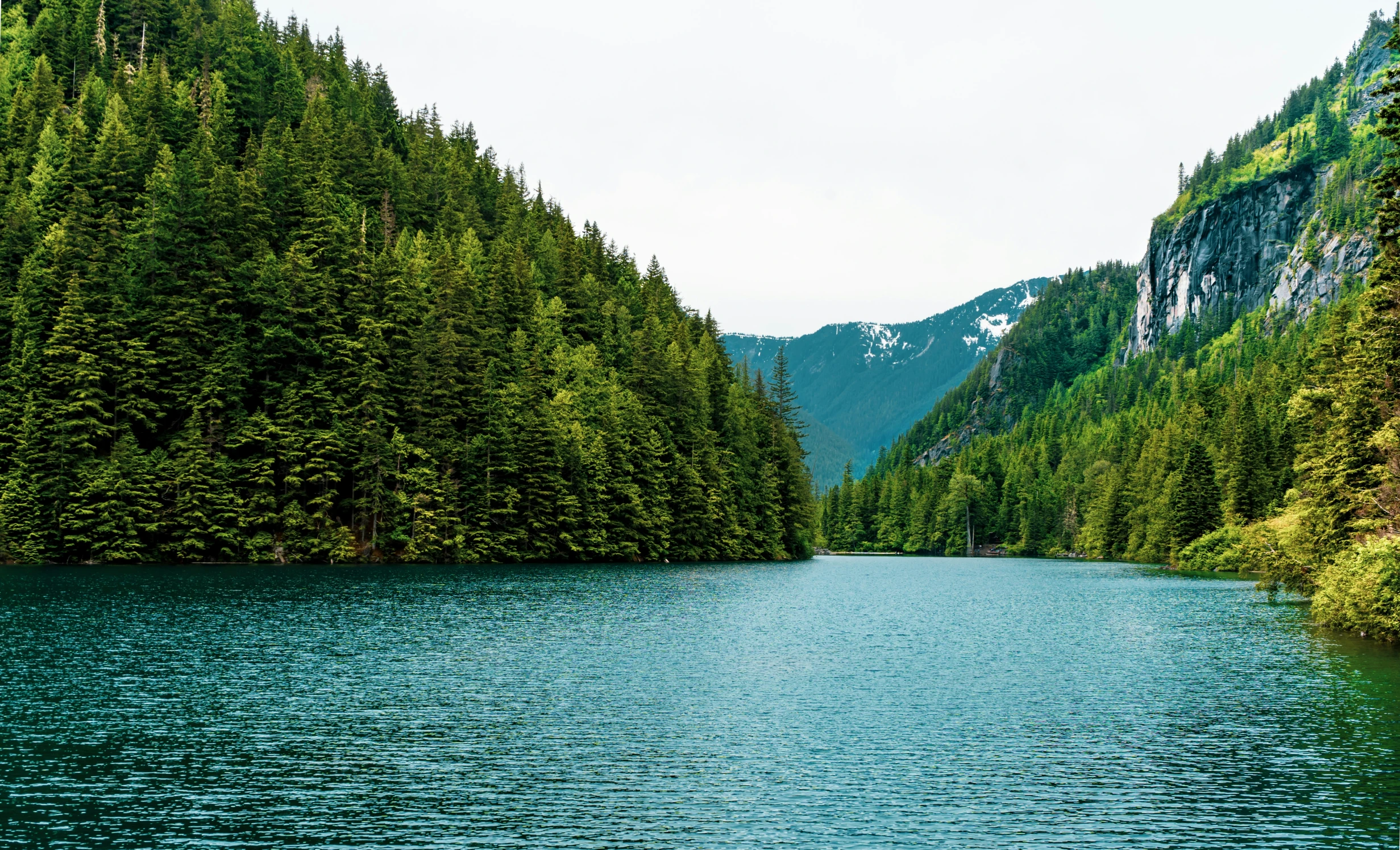 a placid river surrounded by trees is in the mountains