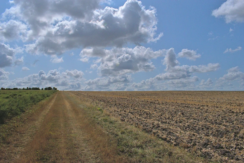 a dirt road in a field next to trees