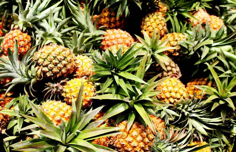 this is a closeup image of a cluster of pineapples
