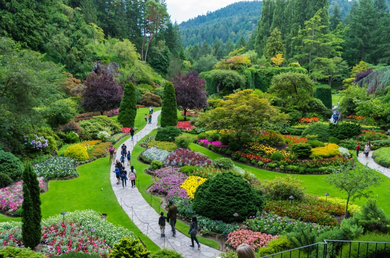 many people walking through an area with many trees and flowers