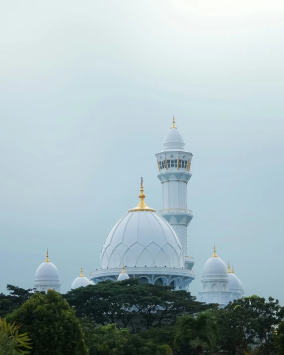 a white and gold domed building is seen with some trees around