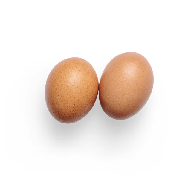 two eggs side by side in white background