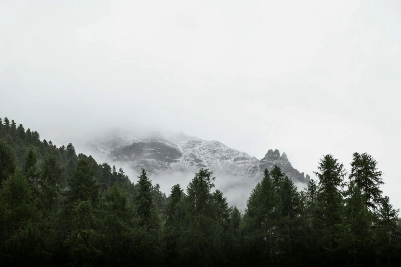 a mountain is covered by fog with a couple of trees in front