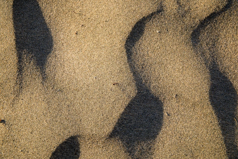 a couple standing in the sand with their shadow on the beach