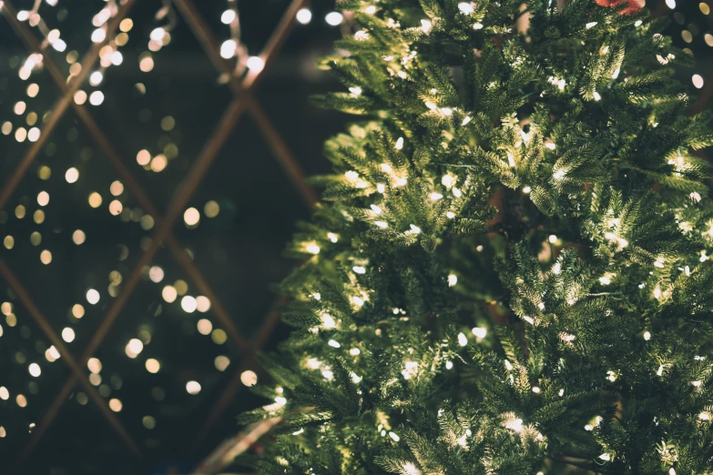 a green christmas tree with light bulbs all around it