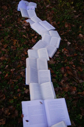 several white folded open book laying on top of leaf covered ground
