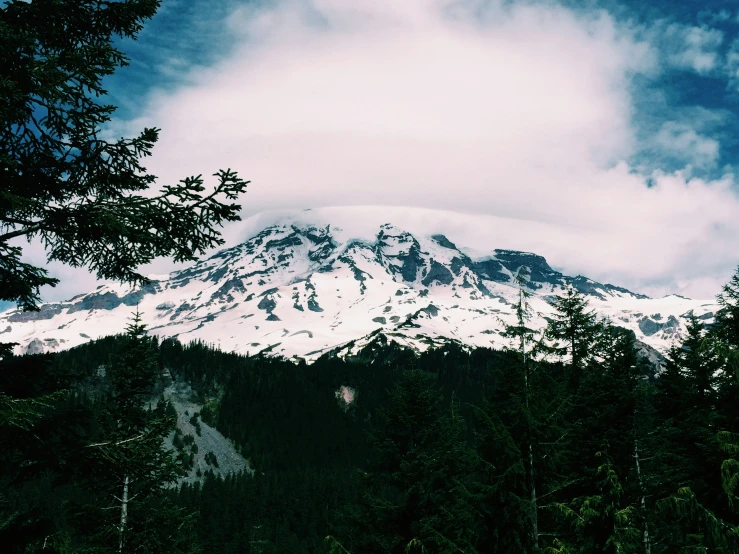 the snow covered mountain stands out in front of the trees