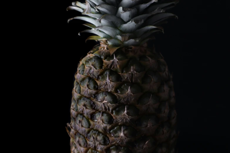 a close up of a pineapple with dark background