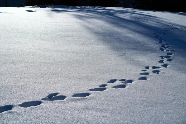 tracks on the snow indicate that people are hiking uphill