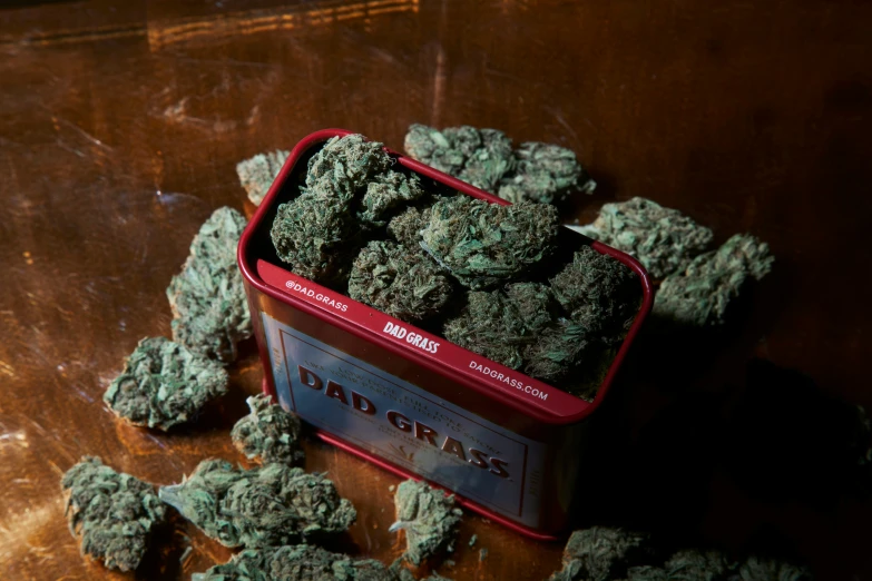 a tin filled with green marijuana next to some buds