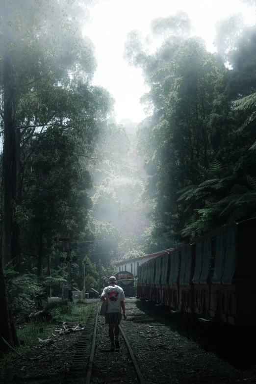 a train on tracks with a person walking beside it