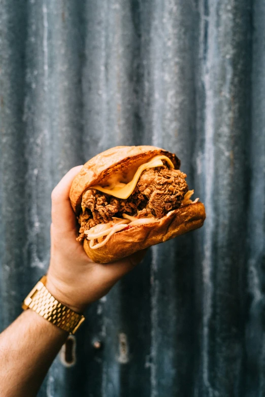 a person holding a pulled pork sandwich on a bun