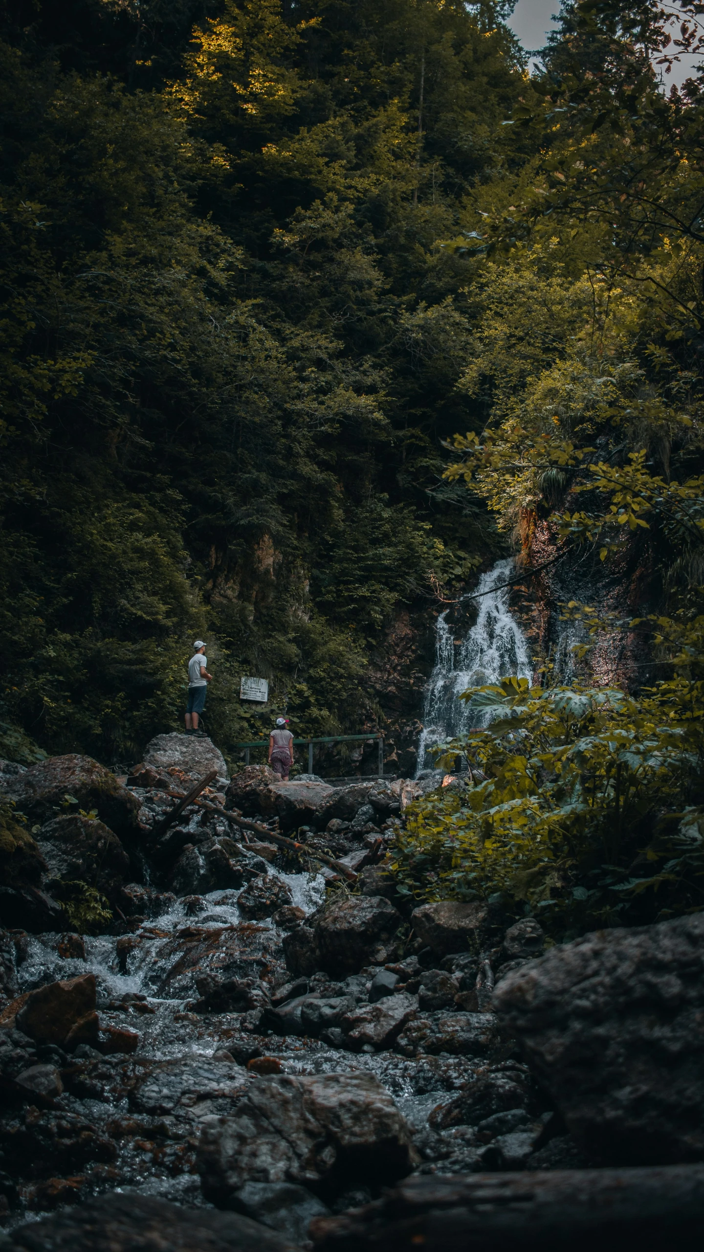 the person is walking up the creek in the forest