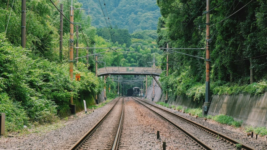 a train track running through a green forest