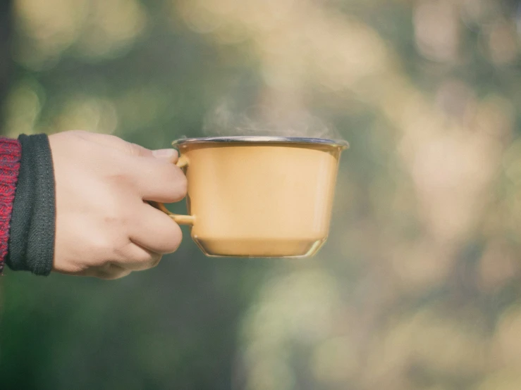 a person holding a coffee cup with their hands