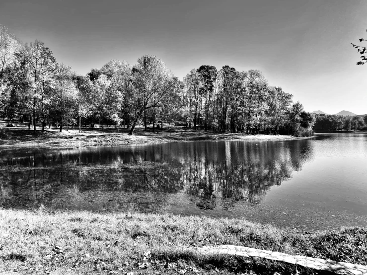 a large body of water with trees in the background