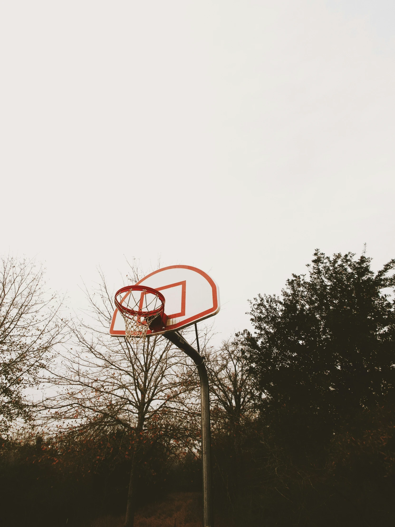 a basketball hoop against a sky with some trees in the foreground