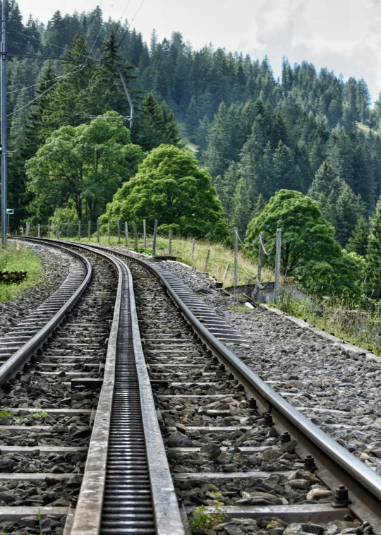 the train track near some trees and bushes