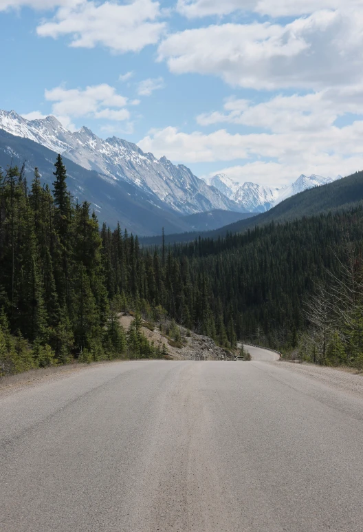 an image of a mountain road with trees and mountains