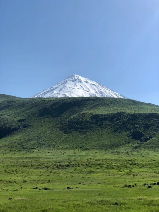 a green field with a tall snowy mountain on top