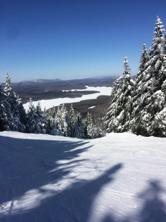 a snow covered ski slope that's in front of some trees