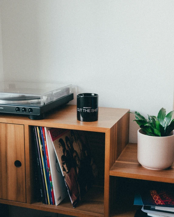 a wooden shelf with a record player, plant and vinyl