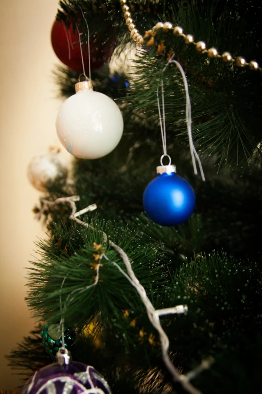 two different ornaments are hung up on the tree