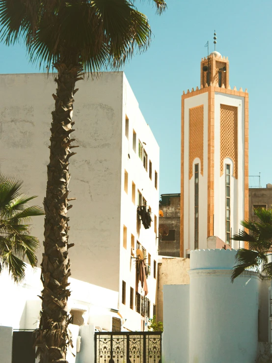a palm tree next to two buildings with a clock tower in the back ground