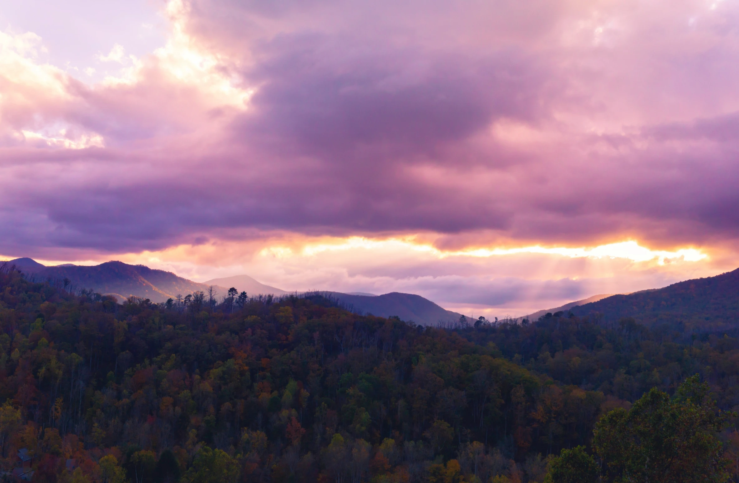 mountains with many trees in the background and clouds in the sky