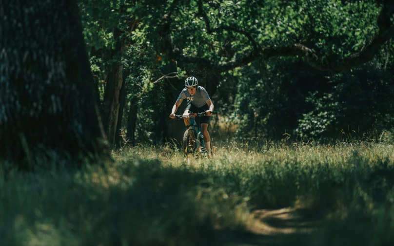 a man riding a bike through a lush green forest