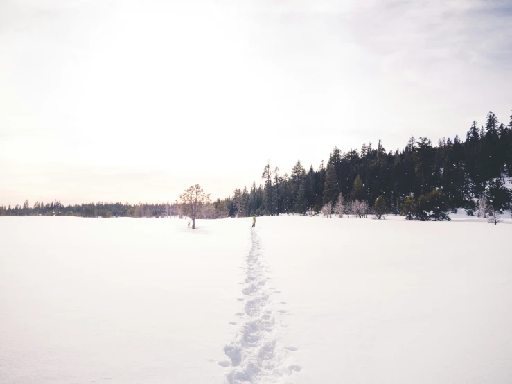 an image of two people out in the woods