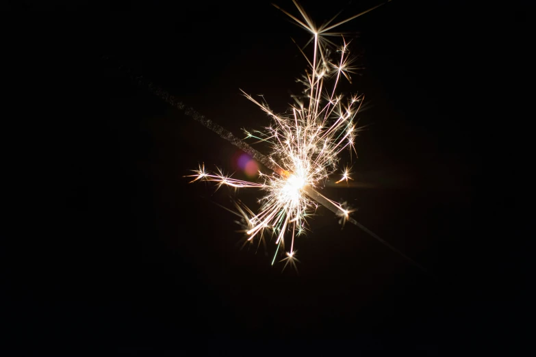 a bright firework with lots of sparkling light