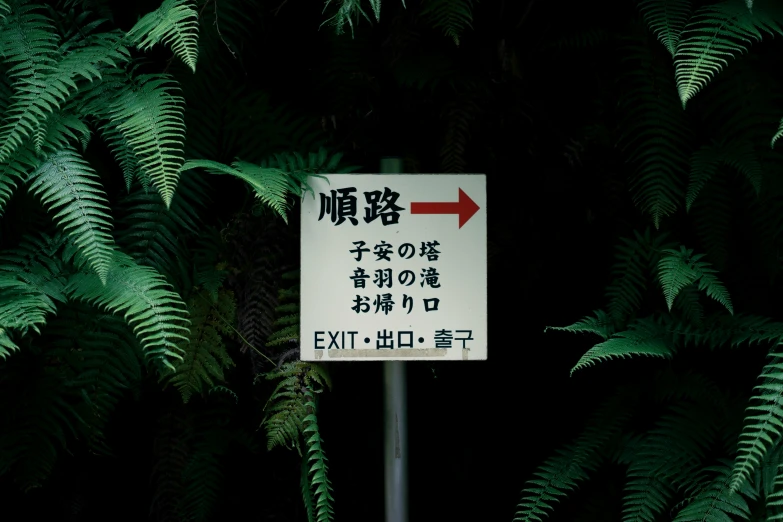 a sign is surrounded by the leaves of trees