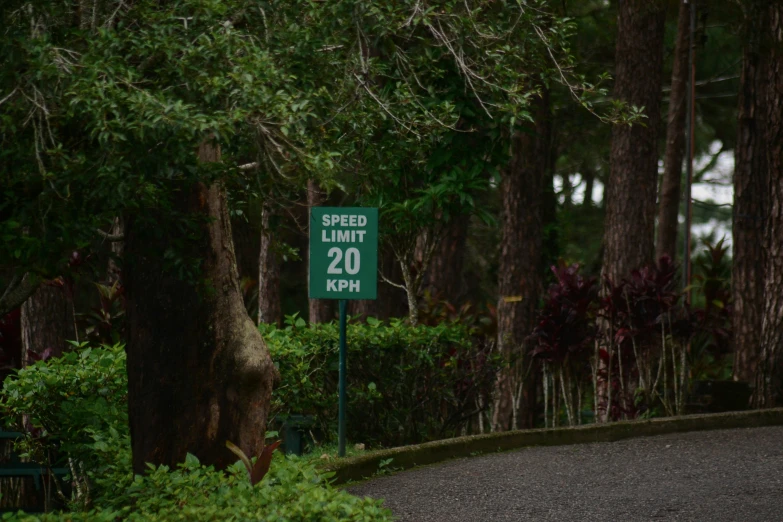 this is a road sign for an open forest road