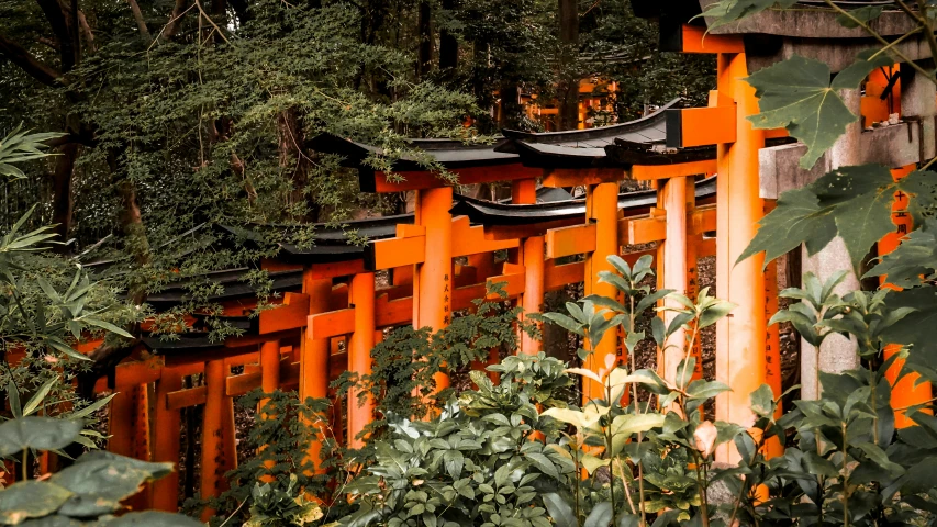 a group of orange walls near some plants and trees