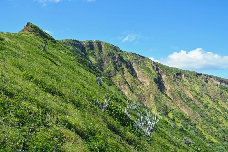 the green hills are very steep and green