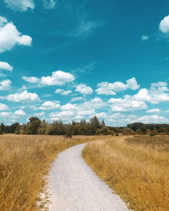 a single path leading through a field to the sky