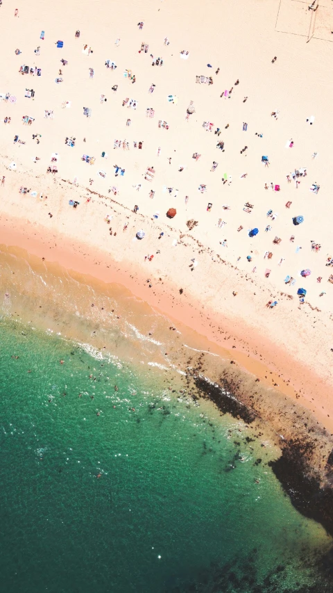 people on a beach, with blue water and one white and tan beach