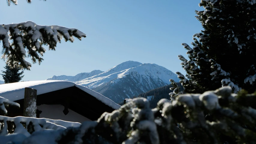 a snow covered mountains is behind some trees