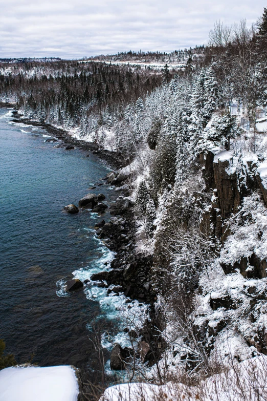 snow on trees by a body of water and some rocks