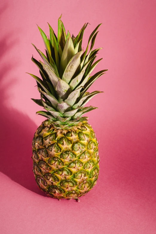 a single pineapple against a pink background