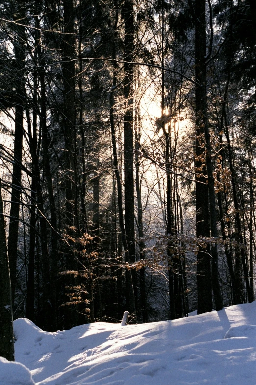 a lone skier is skiing down the hill