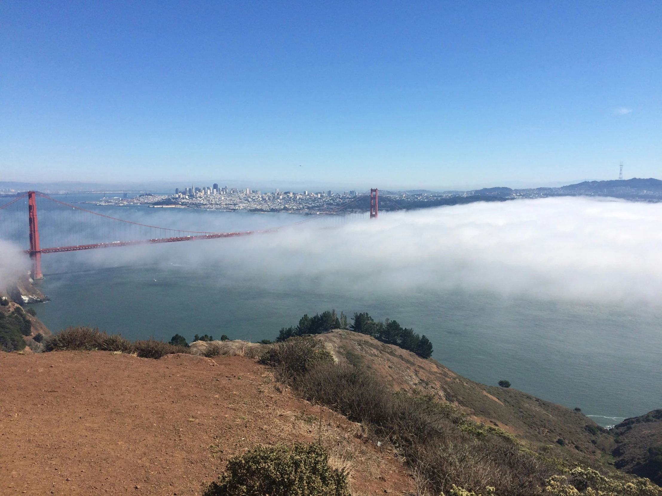 a beautiful view looking down on the fog