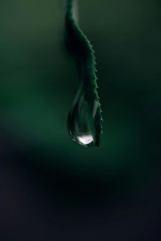 water drop on a black background, in some green colors