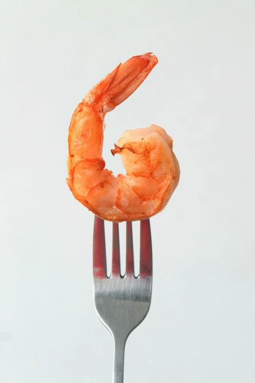 there is a fork holding up a piece of shrimp