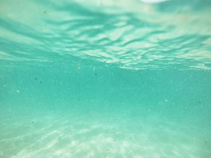 underwater s of an unfrinkled ocean with sand and small fish