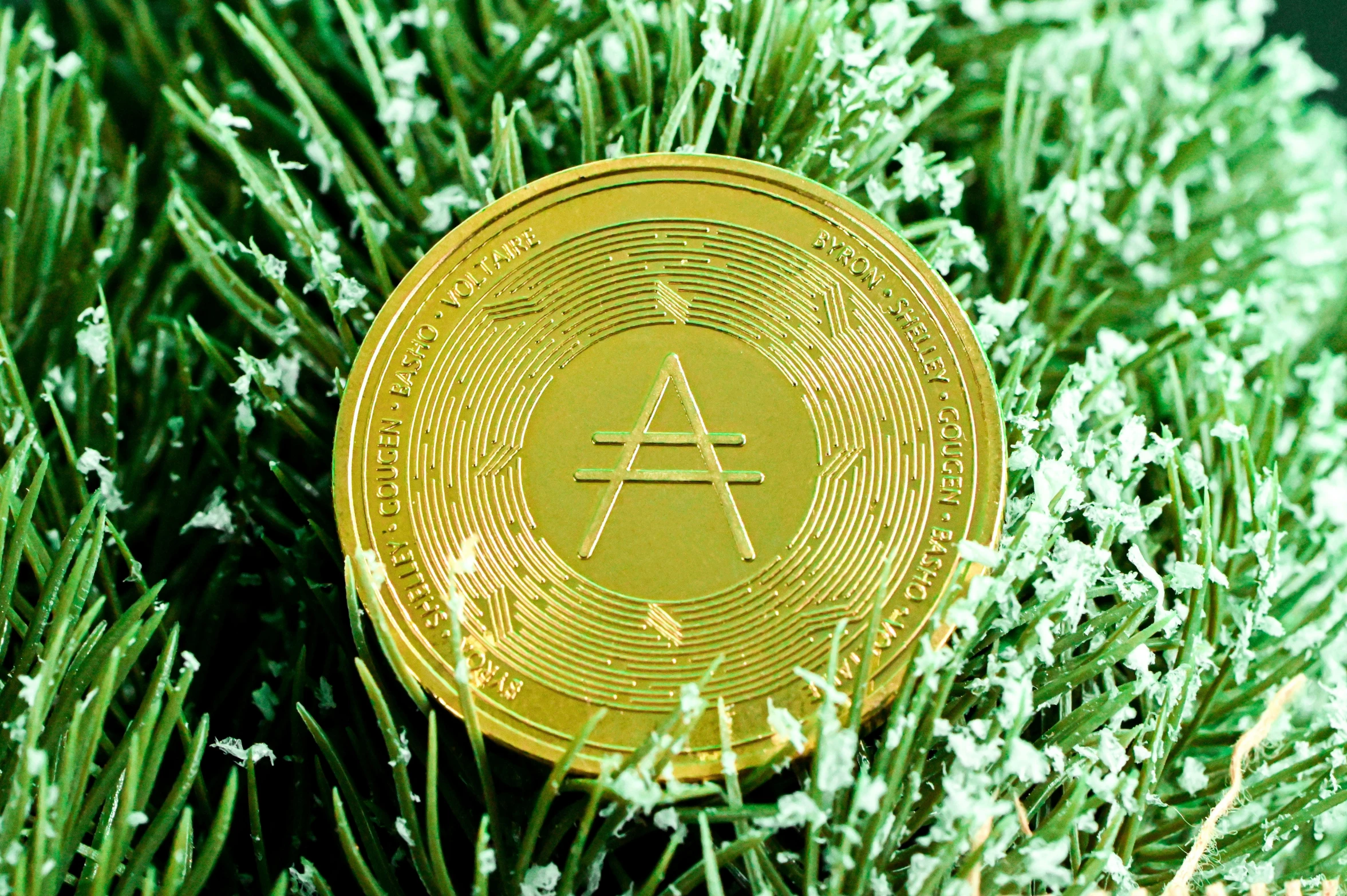 an gold coin sitting in the middle of some green grass