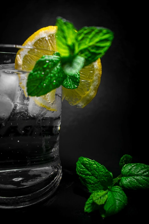 two halves of a lemon and mint with ice on a black background