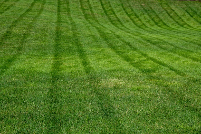 a man mowing grass in a lawn